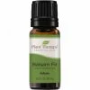 Plant Therapy Apothecary Balsam Fir Essential Oils