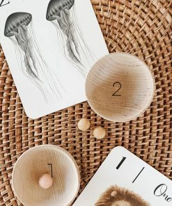 Elm + Otter Wooden Counting Bowls + Felt Balls Toy