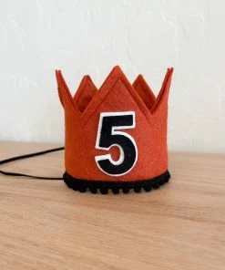 Cutest Little Party Party Time # 5 Copper Felt + Black Pom Trim + Black/white Crown