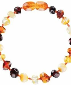 Powell's Owl Amber Baroque Multi Four Color Bracelet Jewelry