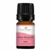 Plant Therapy Rose Absolute Essential Oils